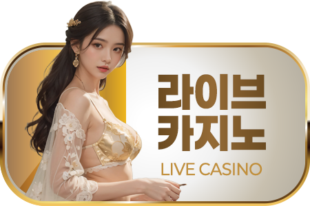 라이브카지노