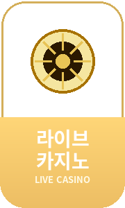 라이브카지노